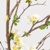 Premium Artificial Blossom Branch - Cream Quince Blooms, 57 Inch Silk Floral Stems for Living Room Spring Decor, Elegant No Watering Needed with Vase