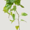 Real Touch Variegated Pothos Artificial Plant, 27 Inch White Green Hanging Bush for Living Room, Luxury Home Decor, No Watering Needed with Vase