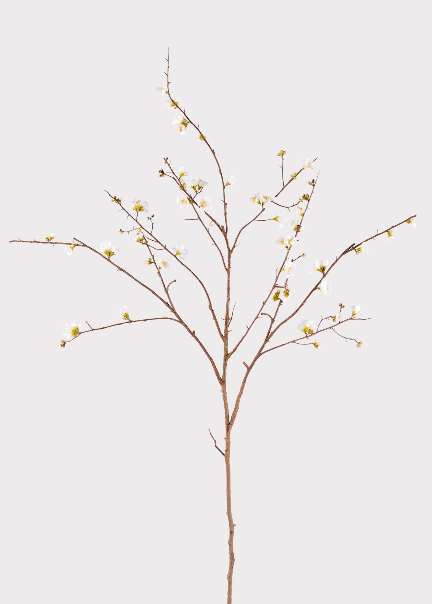 Lifelike Quince Blossom Branch Faux Flower Arrangement, 54 Inch Silk Floral for Living Room Spring Decor, Elegant Maintenance Free