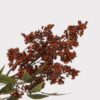 Lifelike Burgundy Nandina Berry Faux Floral Stems, 45 Inch Silk Branch for Wedding Centerpiece, Elegant Fall Decor, No Watering Needed