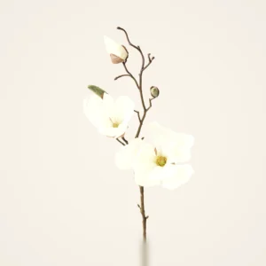 Cream Magnolia Faux Flower Stem, 19 Inch Artificial Floral Stems for Wedding Centerpiece, Spring Decor, No Watering Needed