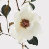 Realistic Cream Magnolia Faux Floral Stems, 35