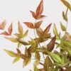 Lifelike Nandina Leaf Branch, 39