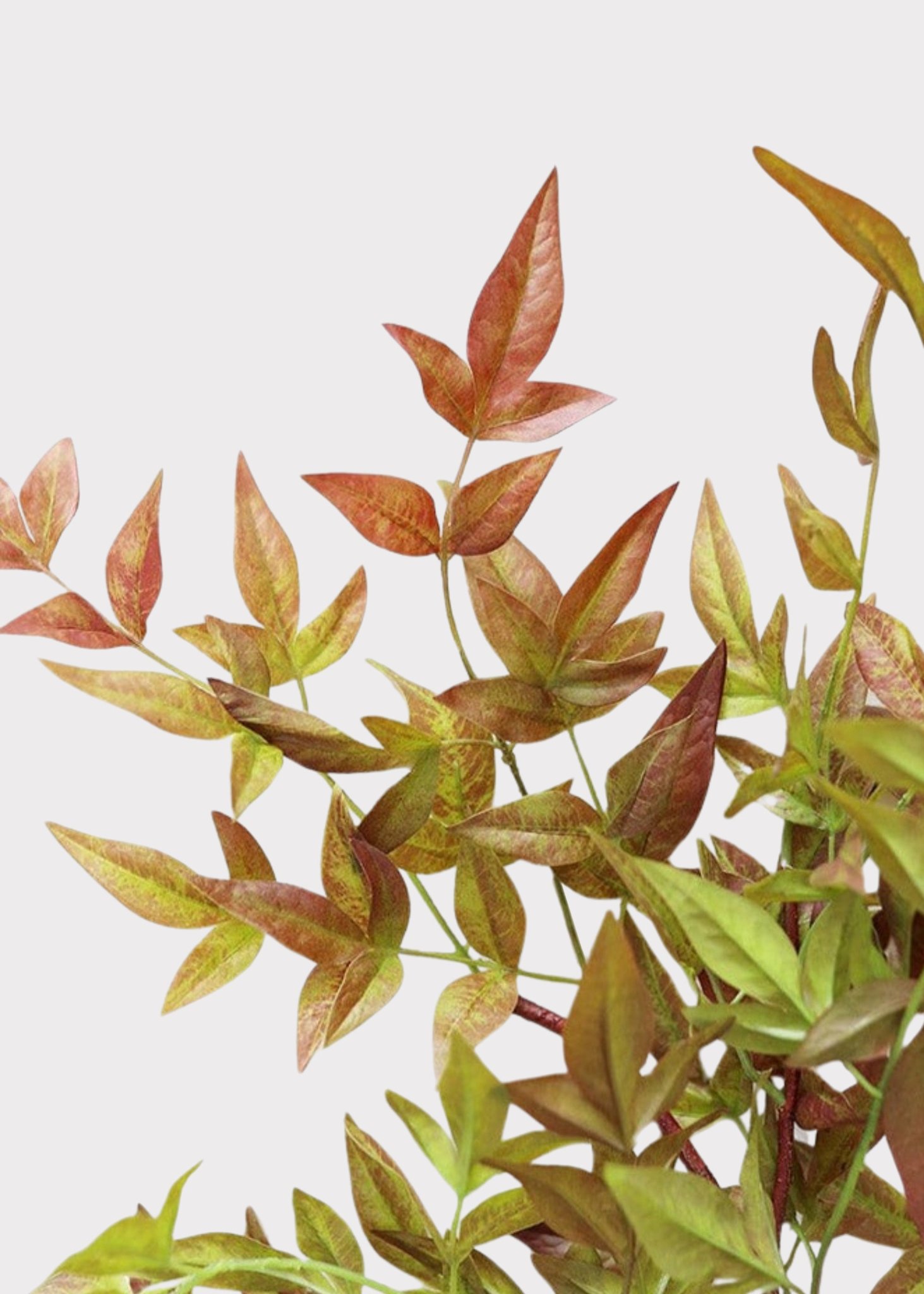 Lifelike Nandina Leaf Branch, 39" Artificial Faux Greenery for Fall Decor, Tropical Style Indoor Plant, No Watering Needed with Vase