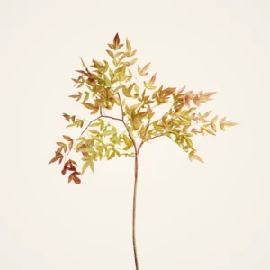 Lifelike Nandina Leaf Branch, 39" Artificial Faux Greenery for Fall Decor, Tropical Style Indoor Plant, No Watering Needed with Vase