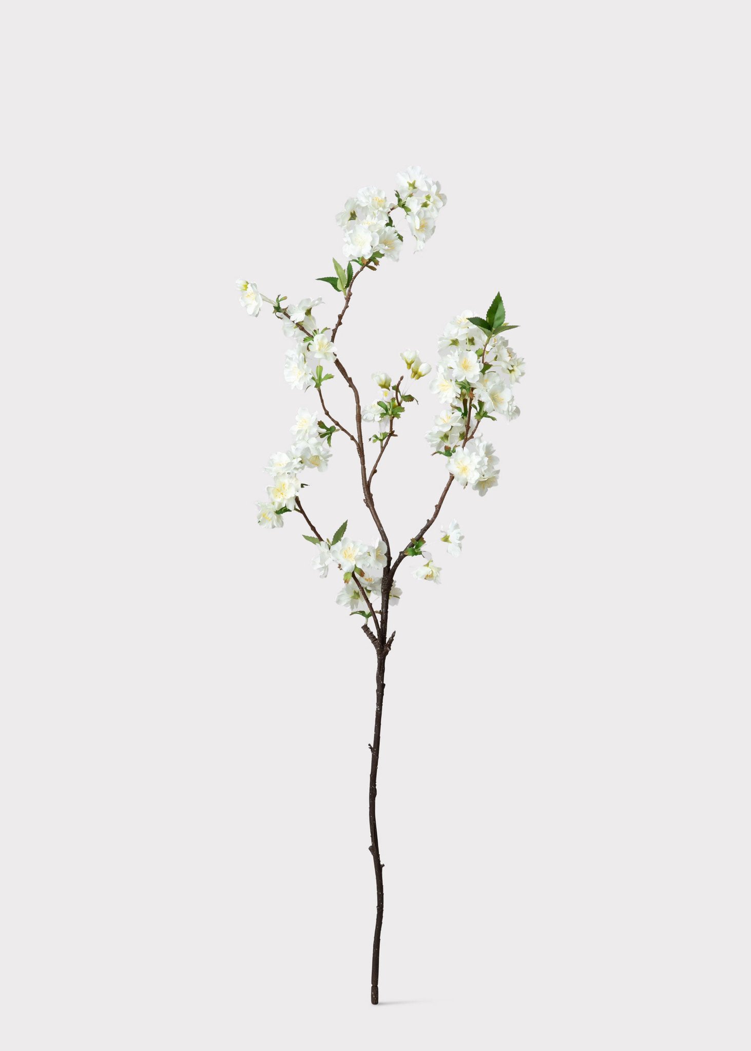 Cream White Artificial Cherry Blossom Branch - 36"