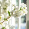 Real Touch Cream White Cherry Blossom Faux Floral Stems, 36