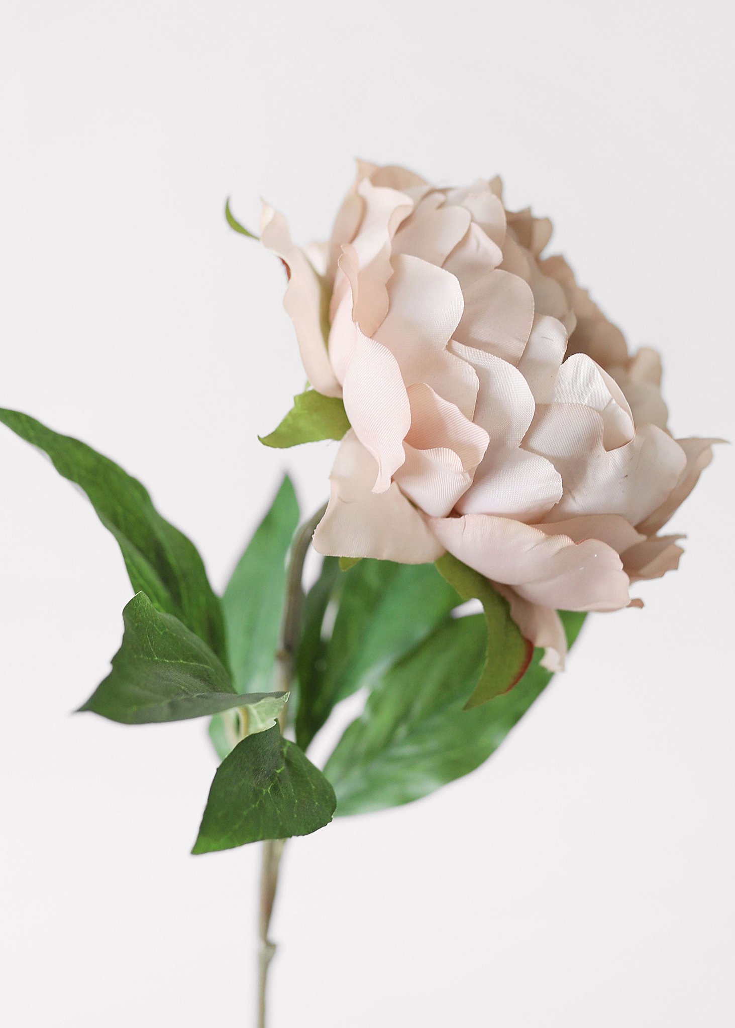 Lifelike Mauve Beige Peony Faux Flower Arrangement, 18 Inch Silk Floral for Fall Wedding Decor, Elegant Allergy Friendly