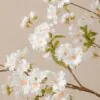 Lifelike White Japanese Cherry Blossom Faux Flower Arrangement, 6 Stems Artificial Flowers for Spring Decor, Elegant Home Accent, No Watering Needed