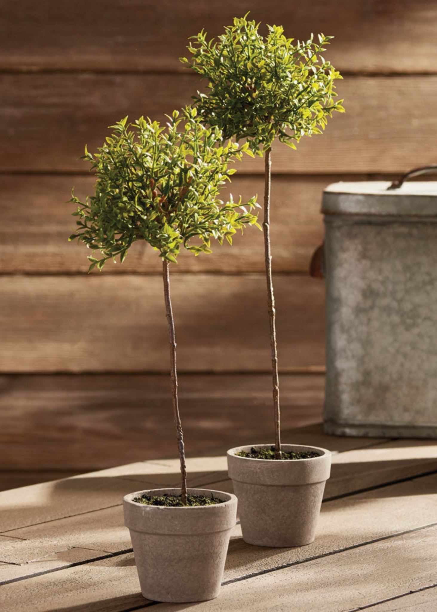 Lifelike Green Thyme Faux Potted Plant, 16 Inch Artificial Herb Topiary for Kitchen or Living Room, Modern Minimalist Decor, No Watering Needed