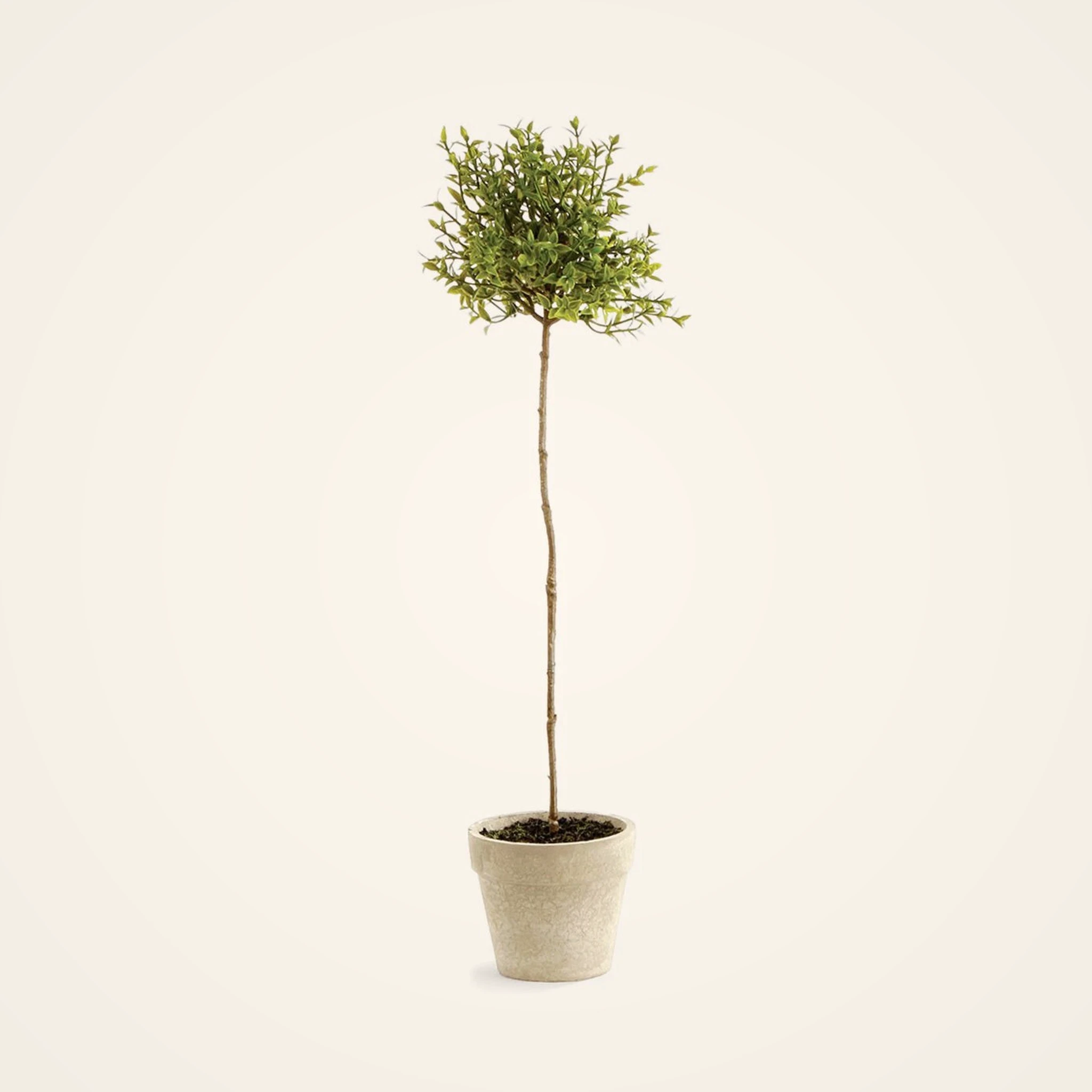 Lifelike Green Thyme Faux Potted Plant, 16 Inch Artificial Herb Topiary for Kitchen or Living Room, Modern Minimalist Decor, No Watering Needed