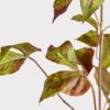 Lifelike Grape Ivy Faux Floral Stems, 48