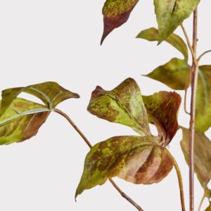 Lifelike Grape Ivy Faux Floral Stems, 48" Silk Green Eggplant Garland for Fall Decor, No Watering Needed with Vase