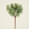 Lifelike Green Jade Succulent Plant Artificial Potted for Living Room, Elegant Home Decor, No Watering Needed with Vase