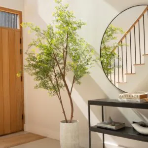 Lifelike Black Ruscus Faux Tree, 6ft 1in Artificial Plant for Indoor or Outdoor, No Watering Needed, Vase Not Included