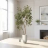 Lifelike Black Ruscus Faux Tree, 6ft 1in Artificial Plant for Indoor or Outdoor, No Watering Needed, Vase Not Included