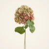 Lifelike Green Hydrangea Faux Flower Arrangement, 34 Inch Artificial Flowers for Living Room Fall Decor, Elegant No Watering Needed with Vase