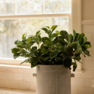 Real Touch Green Wax Privet Leaf Plant Artificial Potted for Living Room, Luxury Fall Decor, No Watering Needed with Vase