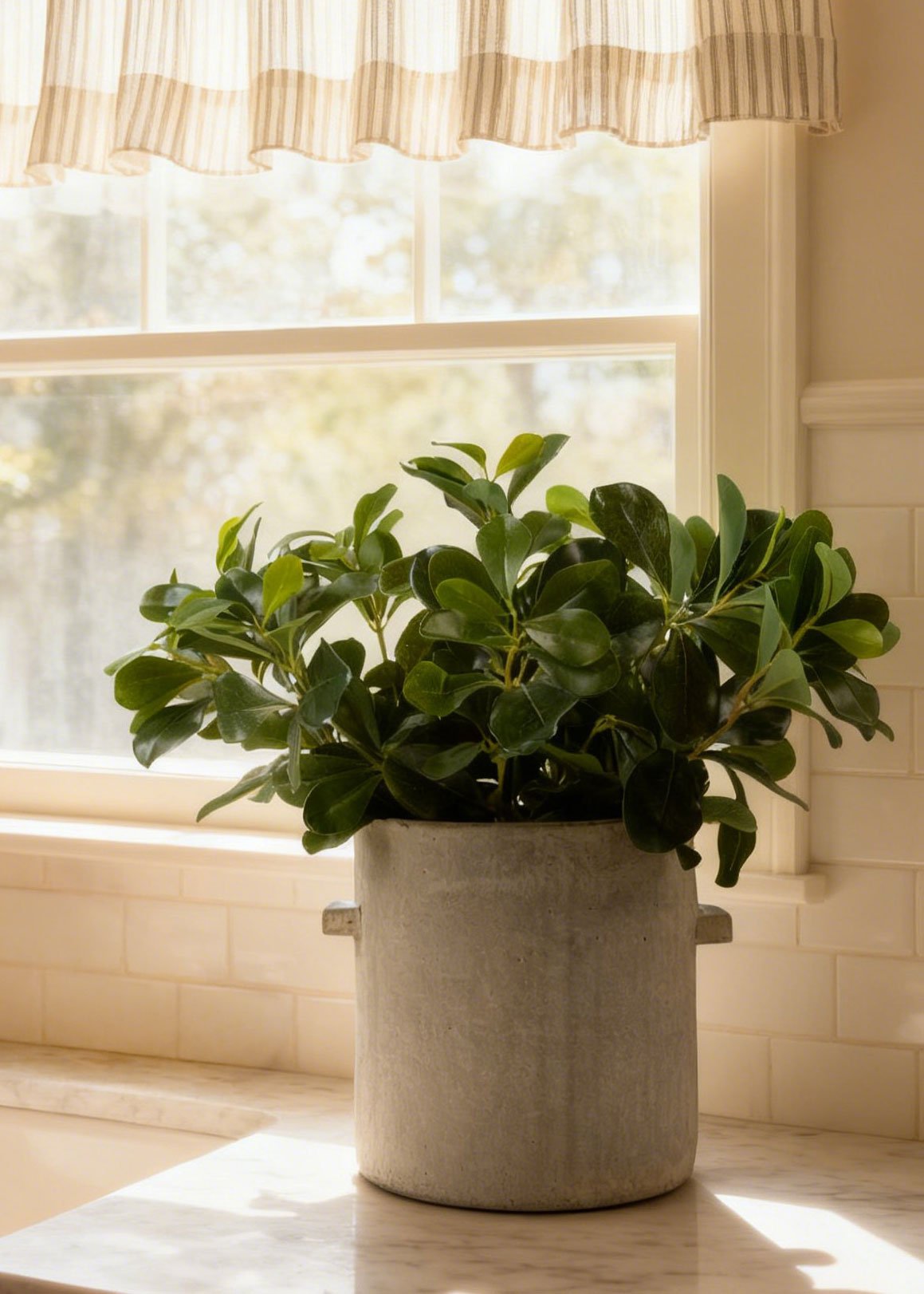 SAVE - Natural Touch Artificial Wax Privet Leaf Plant - 15"