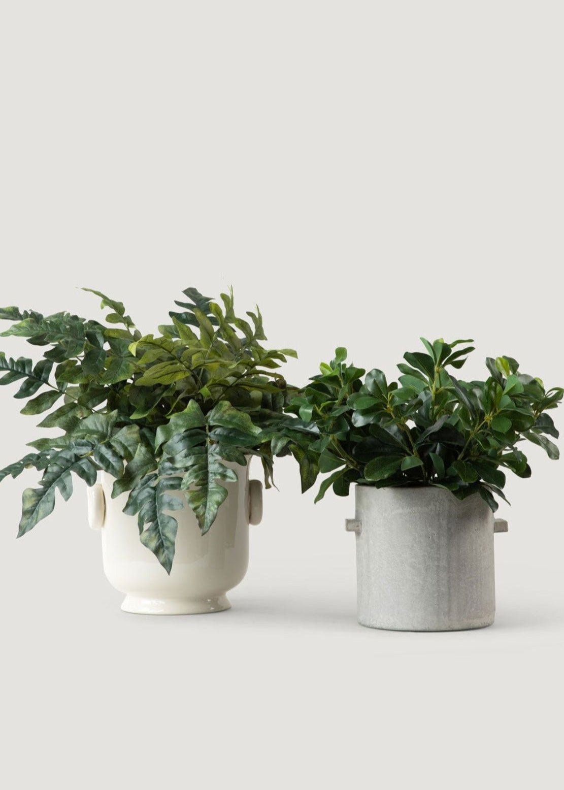 SAVE - Natural Touch Artificial Wax Privet Leaf Plant - 15"