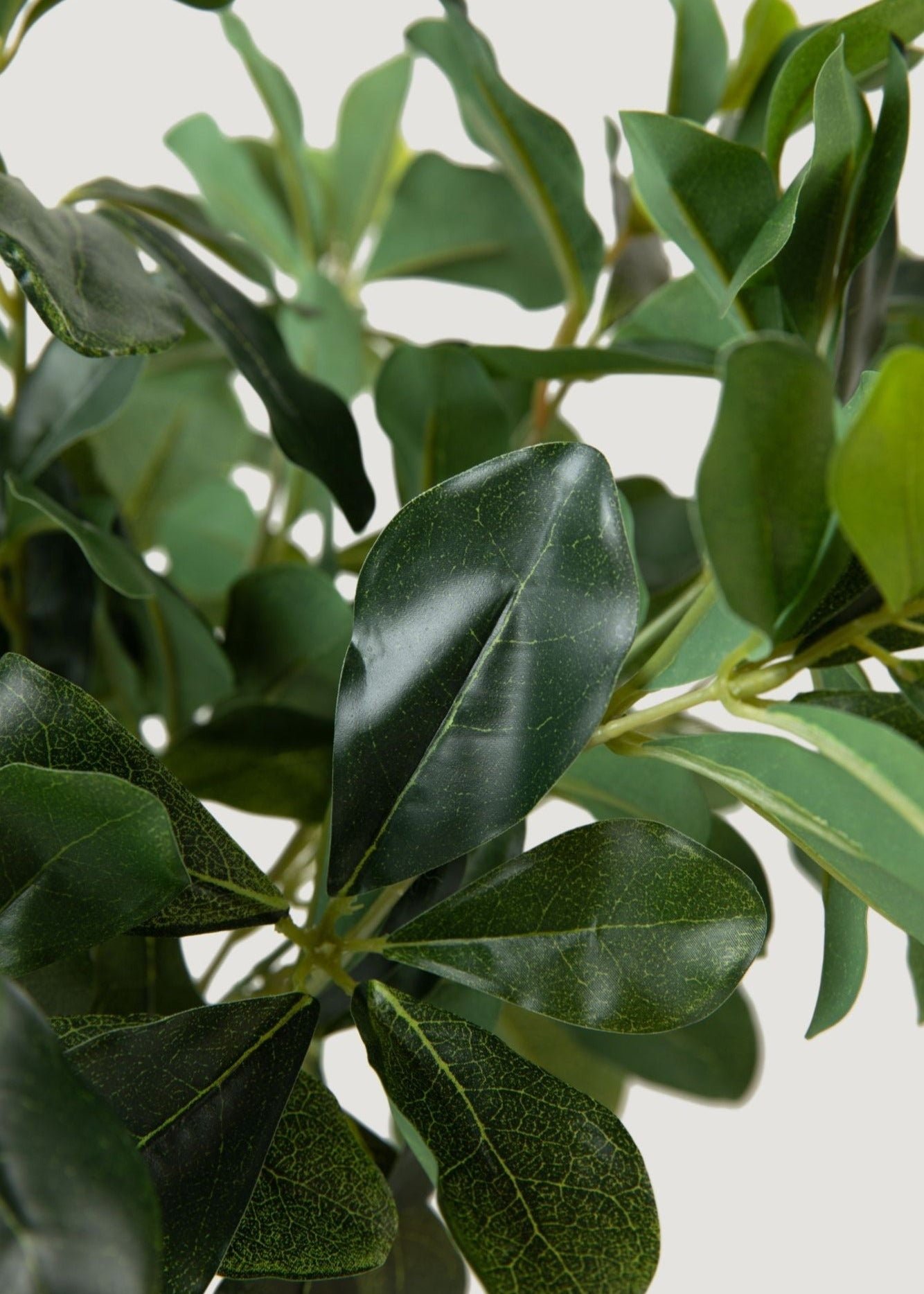 Real Touch Green Wax Privet Leaf Plant Artificial Potted for Living Room, Luxury Fall Decor, No Watering Needed with Vase