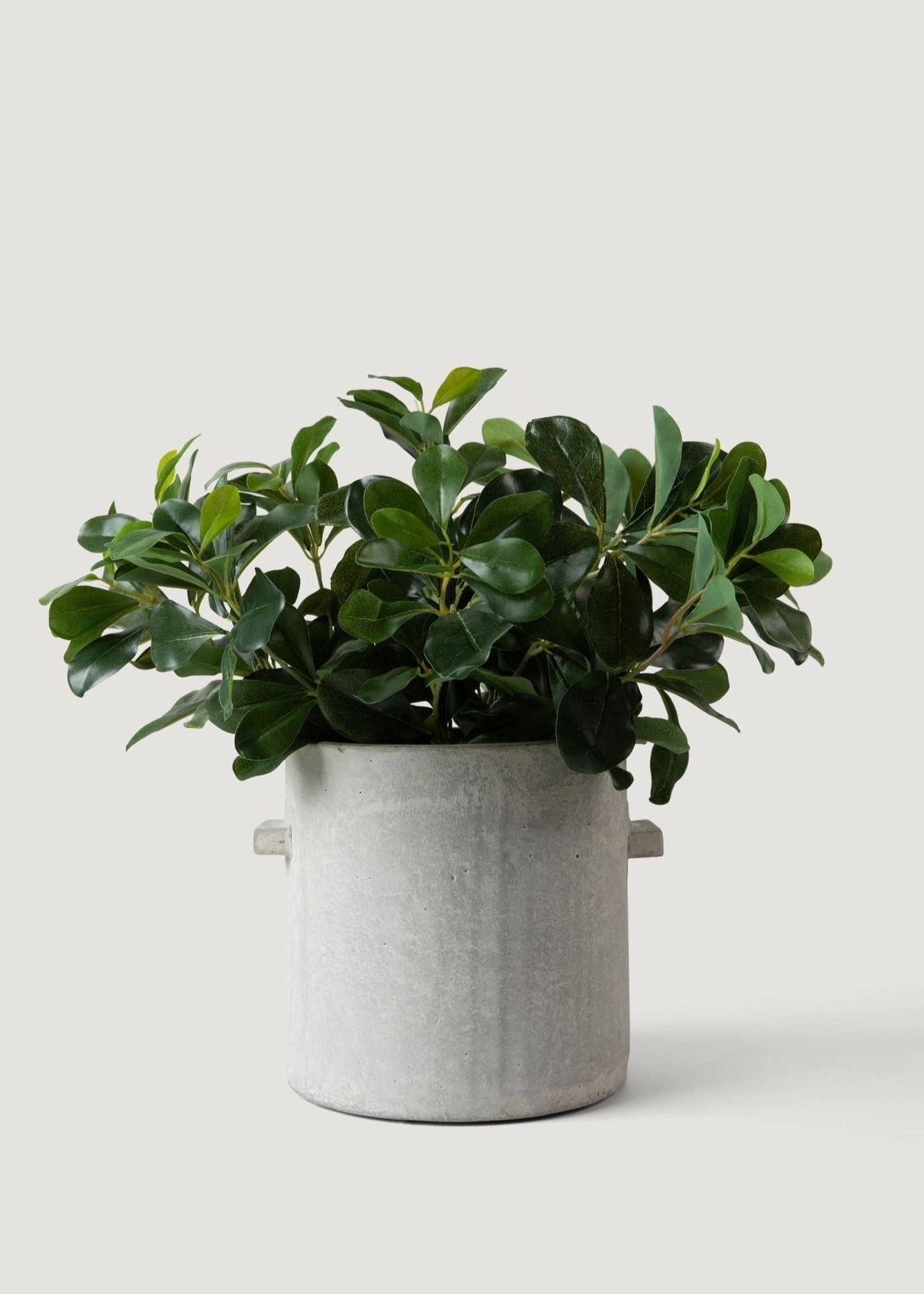 Real Touch Green Wax Privet Leaf Plant Artificial Potted for Living Room, Luxury Fall Decor, No Watering Needed with Vase