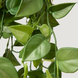 Lifelike Green Philodendron Artificial Plant, 32" Hanging Bush for Living Room, Tropical Style Indoor, Outdoor Decor, No Watering Needed Vase Not