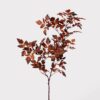 Lifelike Brown Cimicifuga Faux Floral Stems, 31 Inch Artificial Silk Branch for Fall Decor, No Watering Needed with Vase