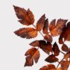 Lifelike Brown Cimicifuga Faux Floral Stems, 31 Inch Artificial Silk Branch for Fall Decor, No Watering Needed with Vase