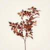 Lifelike Brown Cimicifuga Faux Floral Stems, 31 Inch Artificial Silk Branch for Fall Decor, No Watering Needed with Vase