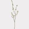Lifelike Green Buds Faux Floral Stems, 40 Inch Artificial Branch for Spring Decor, No Watering Needed with Vase