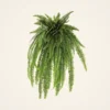 Lifelike Boston Fern Faux Greenery, 52 Inch Artificial Hanging Plant for Living Room, Rustic Home Decor, Maintenance Free Indoor Vase Not Included