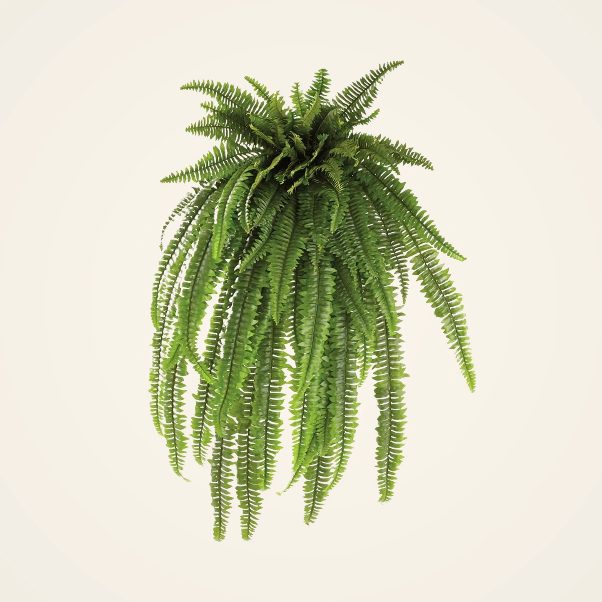 Lifelike Boston Fern Faux Greenery, 52 Inch Artificial Hanging Plant for Living Room, Rustic Home Decor, Maintenance Free Indoor Vase Not Included