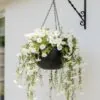 UV Resistant White Petunia Faux Flower Arrangement, 29cm x 15cm Hanging Basket for Outdoor Living Space, No Watering Needed, UV Protected PE Foliage