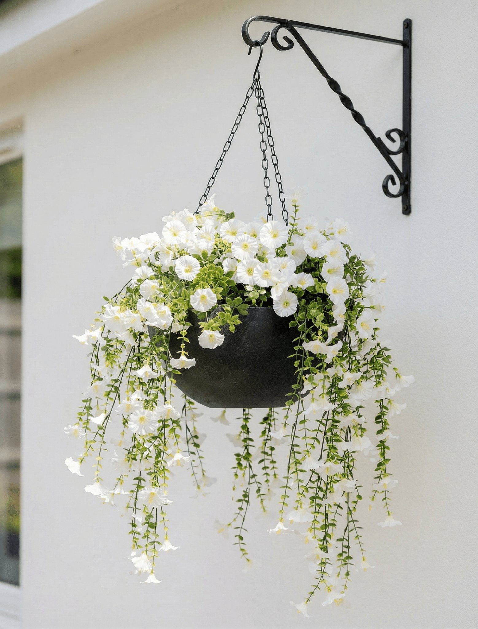Outdoor Hanging Petunia Basket - White