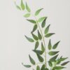 Lifelike Green Grey Ruscus Faux Floral Stems, 12 Artificial Silk Branches for Living Room, Elegant Modern Home Decor, No Watering Needed with Vase
