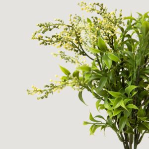 Lifelike Green Sedum Succulent Plant Arrangement, 19 Inch Artificial Potted for Living Room, Luxury Home Decor, No Watering Needed with Vase
