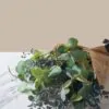 Lifelike Eucalyptus and Blue Berry Faux Flower Arrangement, 31 Inch Silk Floral for Living Room Modern Decor, No Watering Needed