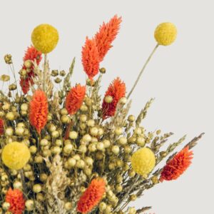 Dried Yellow Craspedia Billy Button Flowers Faux Flower Arrangement, 10 Stems for Dining Table Fall Decor, No Watering Needed with Vase