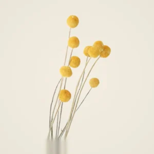 Dried Yellow Craspedia Billy Button Flowers Faux Flower Arrangement, 10 Stems for Dining Table Fall Decor, No Watering Needed with Vase
